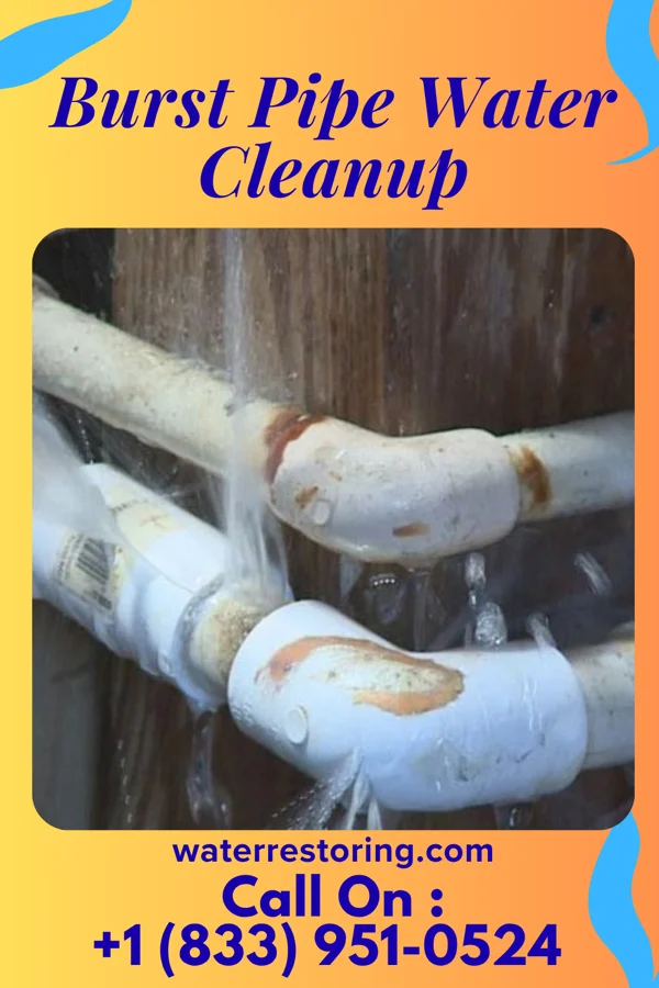 Burst Pipe Water Cleanup in Strandquist, MN
