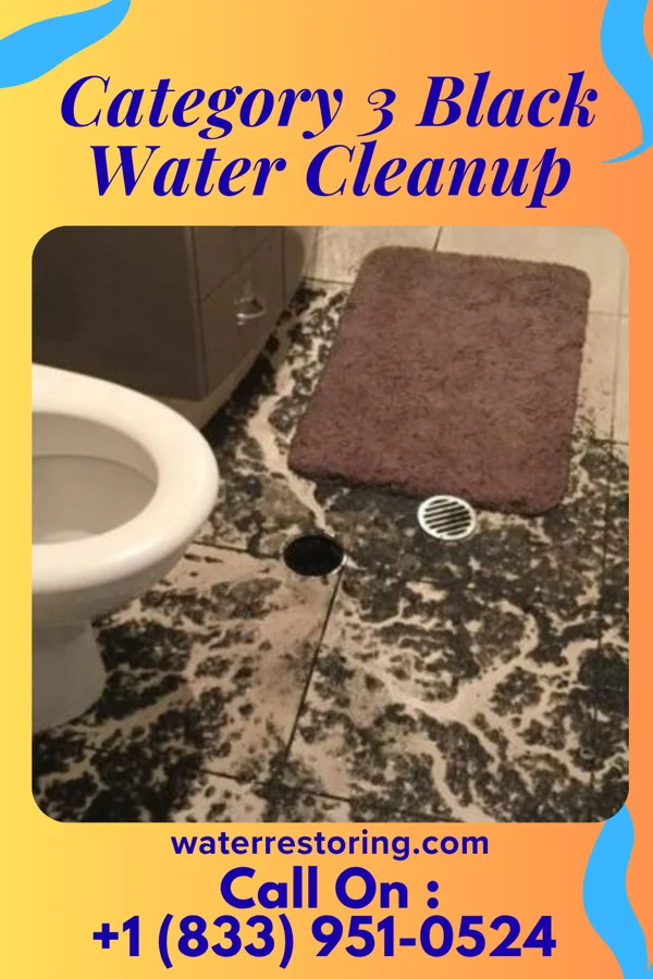 Category 3 Black Water Cleanup in Strandquist, MN