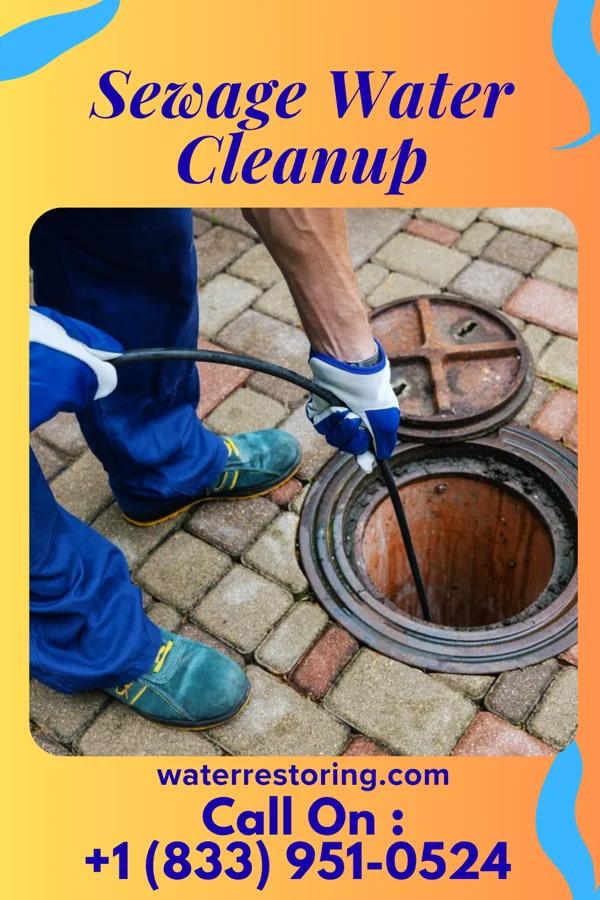 Sewage Water Cleanup in Strandquist, MN